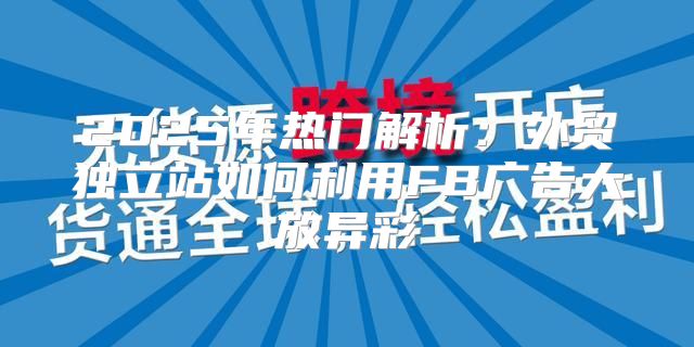 2025年热门解析：外贸独立站如何利用FB广告大放异彩
