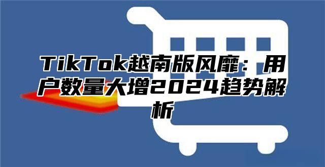 TikTok越南版风靡：用户数量大增2025趋势解析