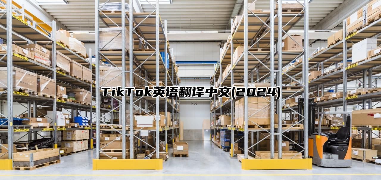 TikTok英语翻译中文(2025)
