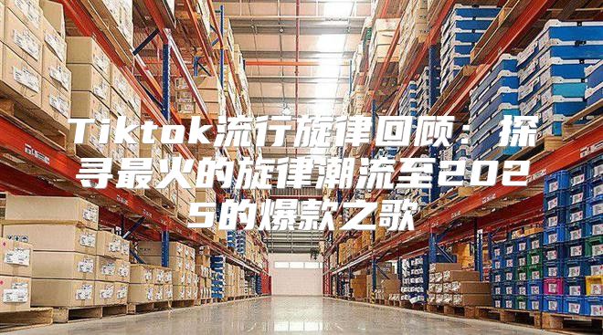 Tiktok流行旋律回顾：探寻最火的旋律潮流至2025的爆款之歌