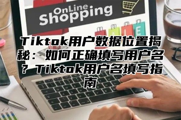 Tiktok用户数据位置揭秘：如何正确填写用户名？Tiktok用户名填写指南