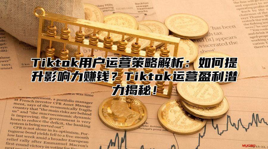 Tiktok用户运营策略解析：如何提升影响力赚钱？Tiktok运营盈利潜力揭秘！