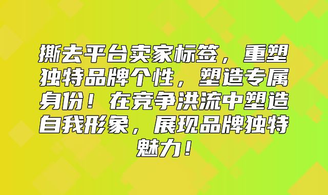 撕去平台卖家标签，重塑独特品牌个性，塑造专属身份！在竞争洪流中塑造自我形象，展现品牌独特魅力！