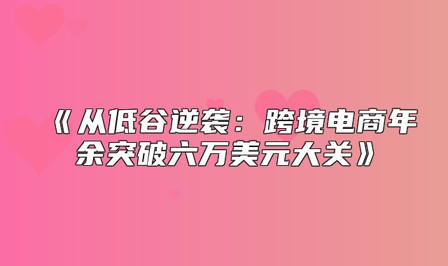 从低谷逆袭：跨境电商年余突破六万美元大关
