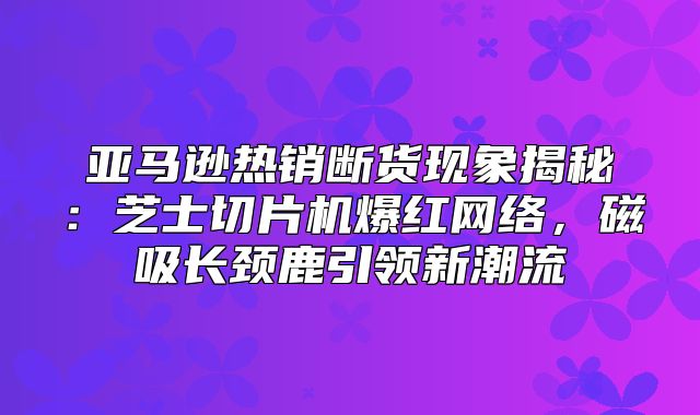 亚马逊热销断货现象揭秘：芝士切片机爆红网络，磁吸长颈鹿引领新潮流