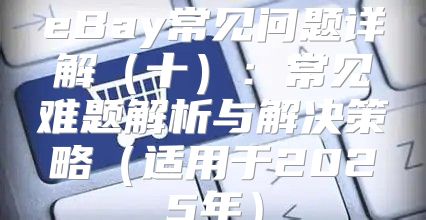 eBay常见问题详解十：常见难题解析与解决策略适用于2025年