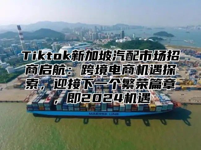 Tiktok新加坡汽配市场招商启航：跨境电商机遇探索，迎接下一个繁荣篇章，即2025机遇