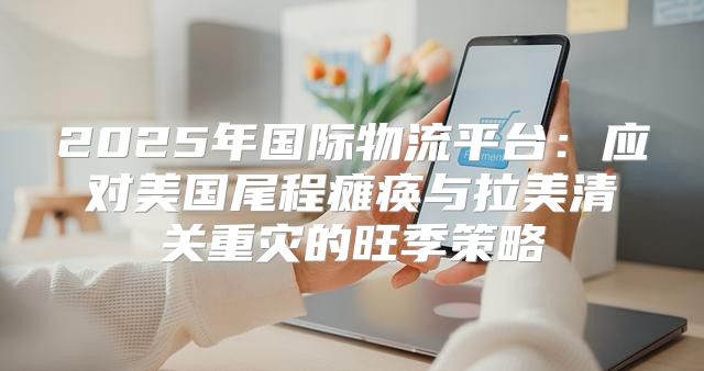 2025年国际物流平台：应对美国尾程瘫痪与拉美清关重灾的旺季策略