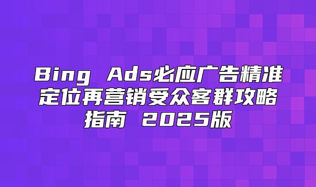 Bing Ads必应广告精准定位再营销受众客群攻略指南 2025版