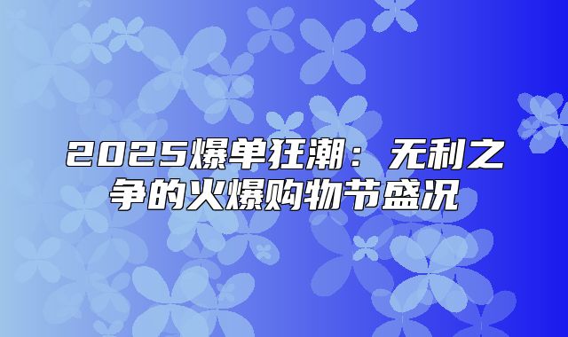 2025爆单狂潮：无利之争的火爆购物节盛况