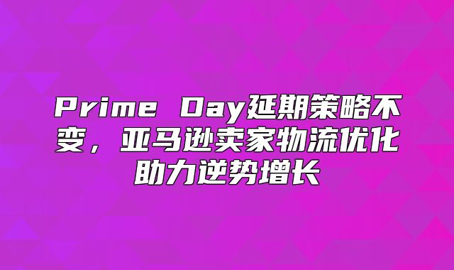 Prime Day延期策略不变，亚马逊卖家物流优化助力逆势增长