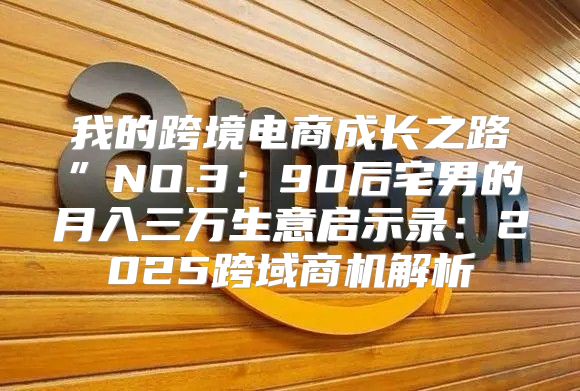 我的跨境电商成长之路”NO.3：90后宅男的月入三万生意启示录：2025跨域商机解析