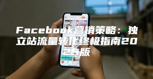 Facebook营销策略：独立站流量转化终极指南2025版