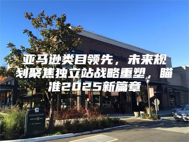 亚马逊类目领先，未来规划聚焦独立站战略重塑，瞄准2025新篇章