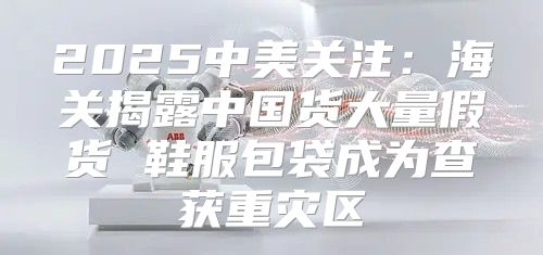 2025中美关注：海关揭露中国货大量假货 鞋服包袋成为查获重灾区