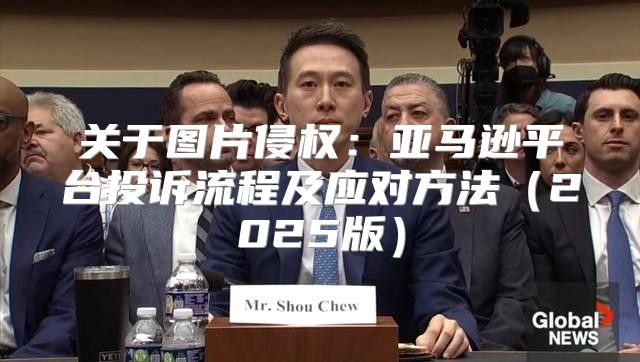 关于图片侵权：亚马逊平台投诉流程及应对方法2025版
