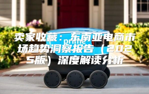 卖家收藏：东南亚电商市场趋势洞察报告2025版深度解读分析