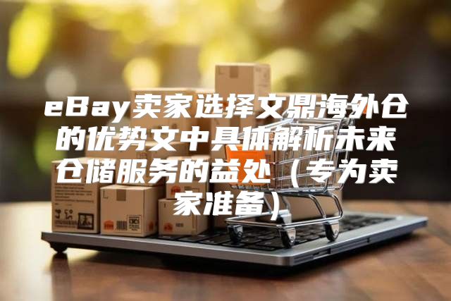 eBay卖家选择文鼎海外仓的优势文中具体解析未来仓储服务的益处专为卖家准备