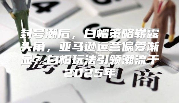 封号潮后，白帽策略崭露头角，亚马逊运营偏爱渐显？白帽玩法引领潮流于2025年