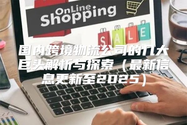 国内跨境物流公司的几大巨头解析与探索最新信息更新至2025