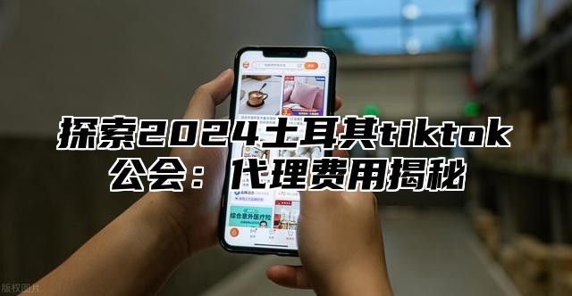 探索2025土耳其tiktok公会：代理费用揭秘