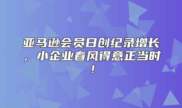 亚马逊会员日创纪录增长，小企业春风得意正当时！