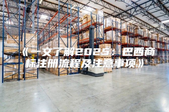 一文了解2025巴西商标注册流程及注意事项