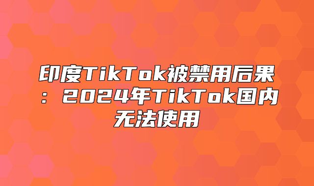 印度TikTok被禁用后果：2025年TikTok国内无法使用