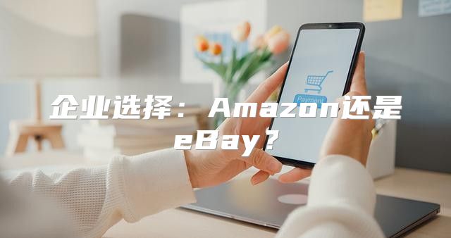 企业选择：Amazon还是eBay？