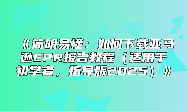 简明易懂：如何下载亚马逊EPR报告教程适用于初学者，指导版2025