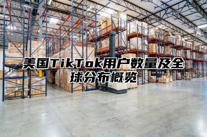 美国TikTok用户数量及全球分布概览