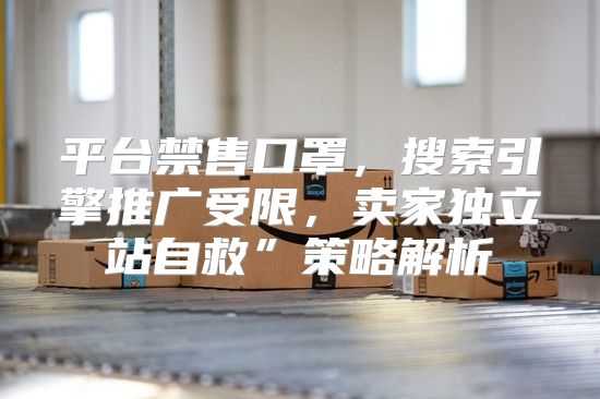 平台禁售口罩，搜索引擎推广受限，卖家独立站自救”策略解析