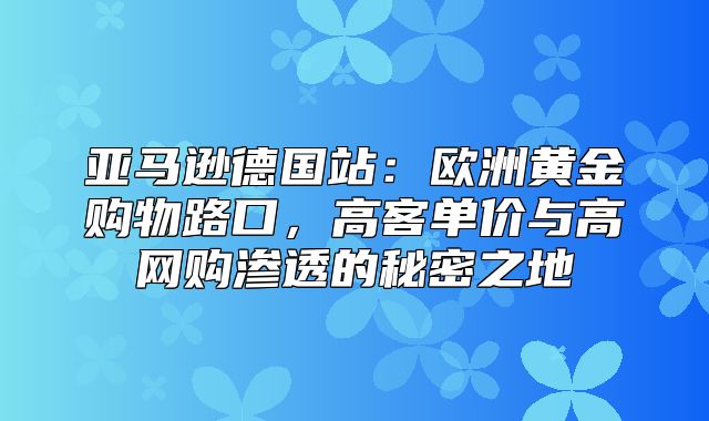 亚马逊德国站：欧洲黄金购物路口，高客单价与高网购渗透的秘密之地