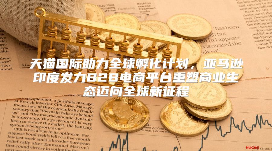 天猫国际助力全球孵化计划，亚马逊印度发力B2B电商平台重塑商业生态迈向全球新征程