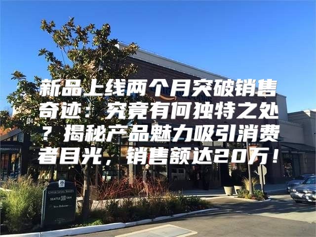 新品上线两个月突破销售奇迹：究竟有何独特之处？揭秘产品魅力吸引消费者目光，销售额达20万！