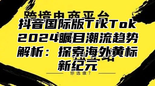 抖音国际版TikTok2025瞩目潮流趋势解析：探索海外黄标新纪元