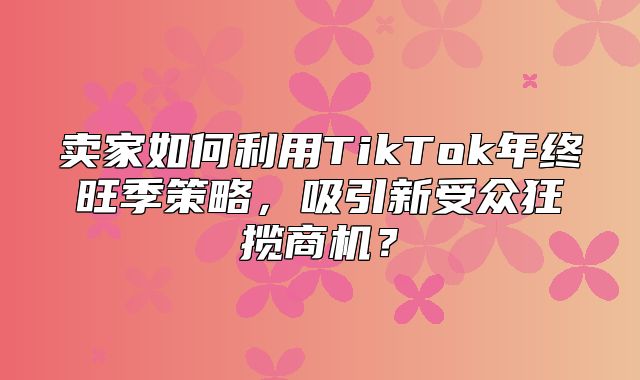 卖家如何利用TikTok年终旺季策略，吸引新受众狂揽商机？
