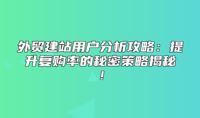 外贸建站用户分析攻略：提升复购率的秘密策略揭秘！