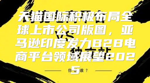 天猫国际积极布局全球上市公司版图，亚马逊印度发力B2B电商平台领域展望2025