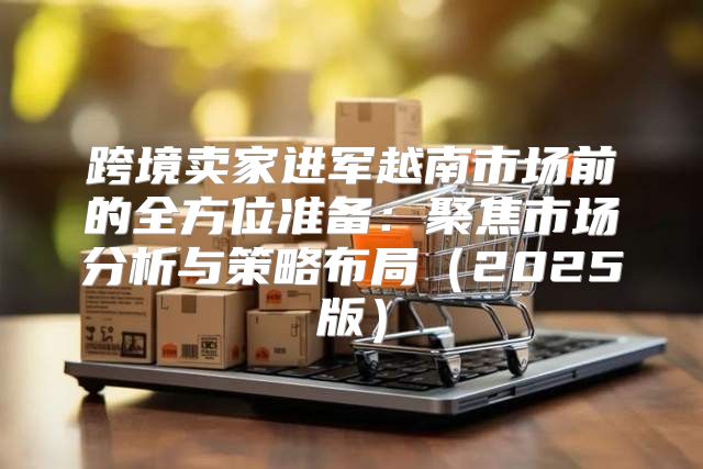 跨境卖家进军越南市场前的全方位准备：聚焦市场分析与策略布局2025版