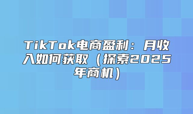TikTok电商盈利：月收入如何获取探索2025年商机