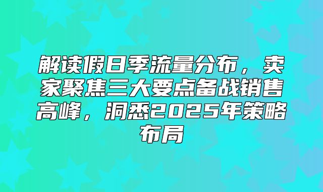 解读假日季流量分布，卖家聚焦三大要点备战销售高峰，洞悉2025年策略布局