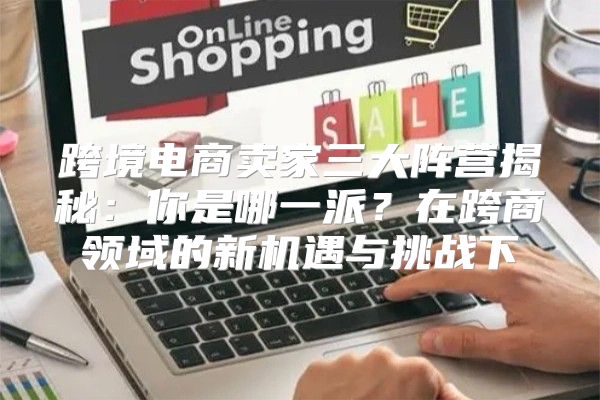 跨境电商卖家三大阵营揭秘：你是哪一派？在跨商领域的新机遇与挑战下