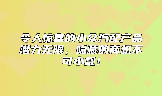令人惊喜的小众汽配产品潜力无限，隐藏的商机不可小觑！