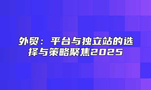 外贸：平台与独立站的选择与策略聚焦2025