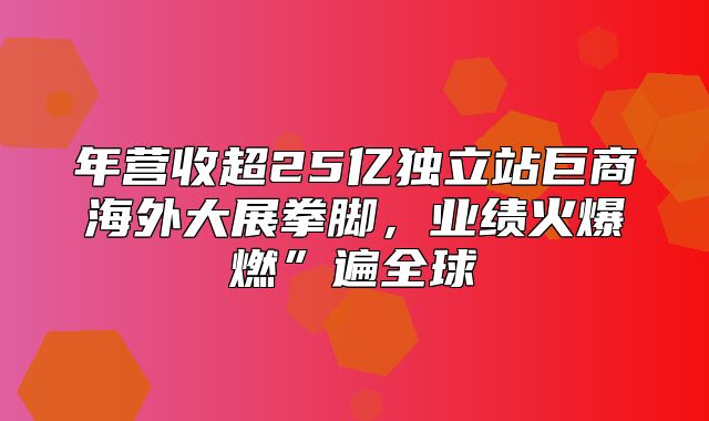 年营收超25亿独立站巨商海外大展拳脚，业绩火爆燃”遍全球