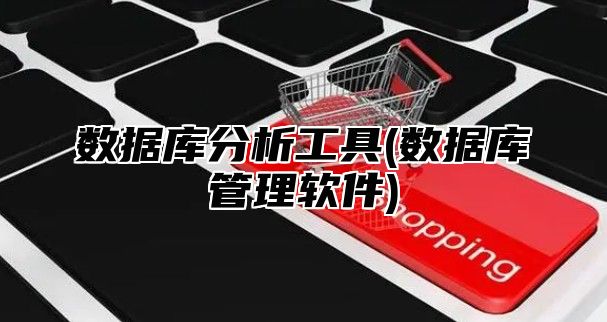 数据库分析工具(数据库管理软件)