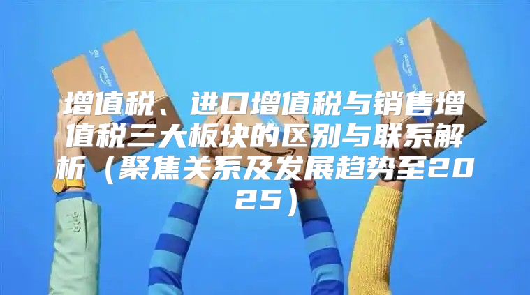 增值税、进口增值税与销售增值税三大板块的区别与联系解析聚焦关系及发展趋势至2025