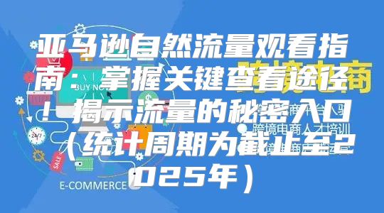 亚马逊自然流量观看指南：掌握关键查看途径！揭示流量的秘密入口统计周期为截止至2025年