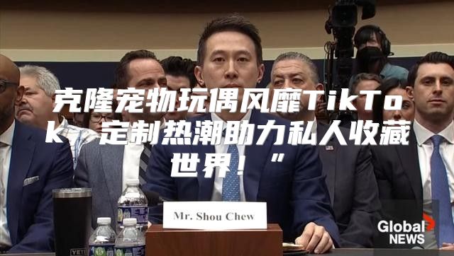 克隆宠物玩偶风靡TikTok，定制热潮助力私人收藏世界！”